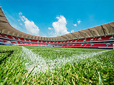 �����ĸ����������APPӦ��Ч������