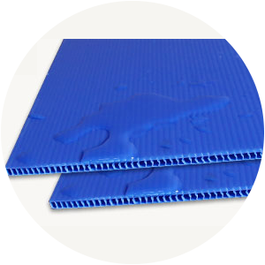 ����������ʴ  